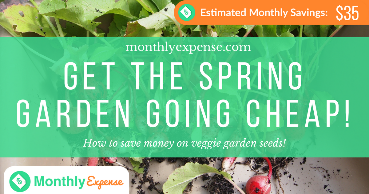 How to Save Money on Veggie Garden Seeds
